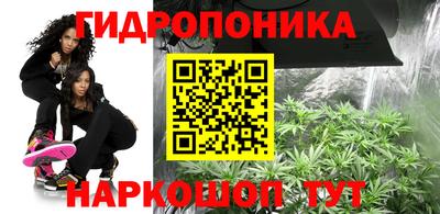 дживик Ставрополь