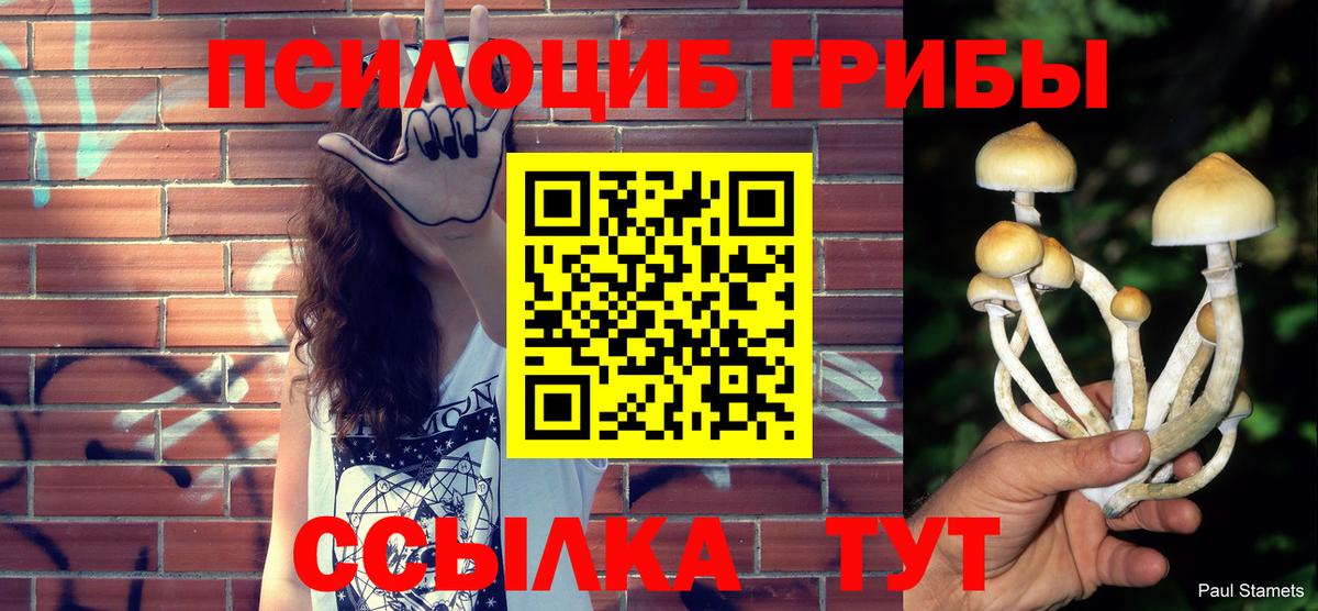 Псилоцибиновые грибы Cubensis Протвино