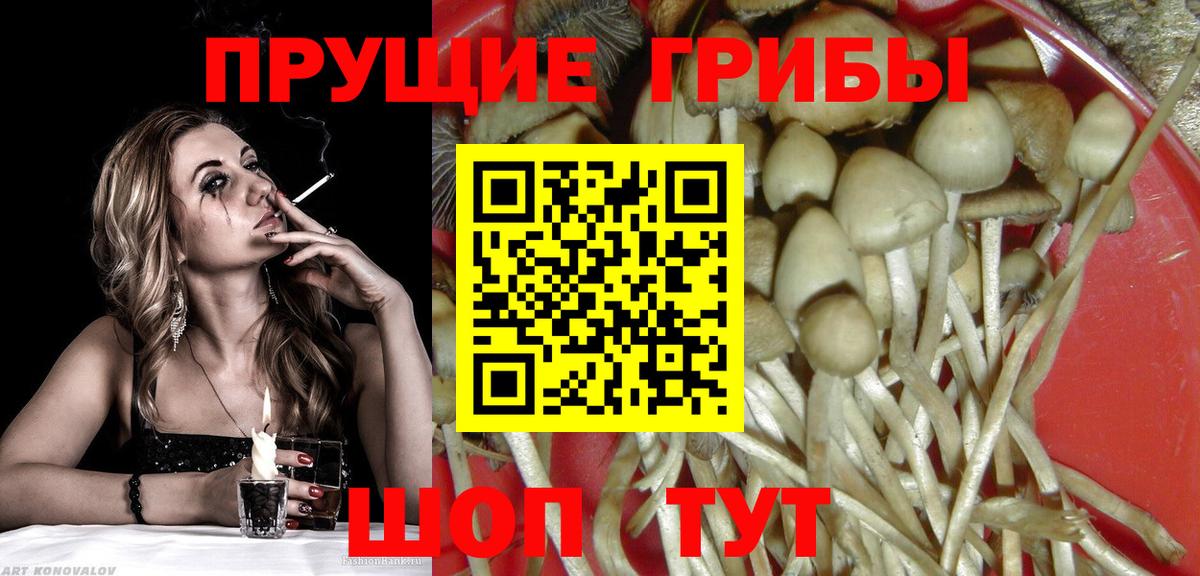 купить закладку  Псилоцибиновые грибы Magic Shrooms  Галлюциногенные грибы Magic Shrooms  Вход с VPN  Протвино 